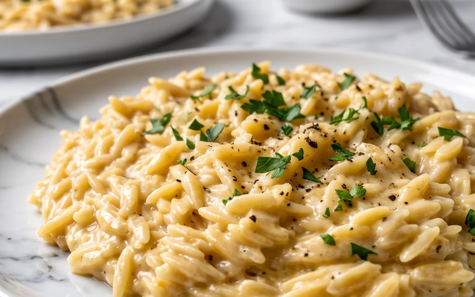 Creamy Garlic Parmesan Orzo